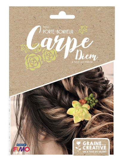 Kit bijoux porte-bonheur broches à cheveux succulentes en fimo pour femme vert et terracotta