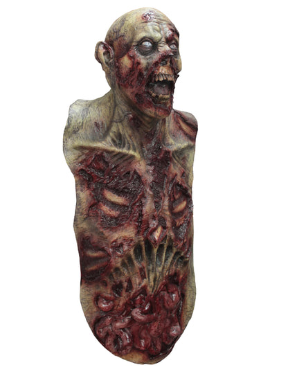 Masque intégral et buste zombie pour adulte ensanglanté avec tripes apparentes