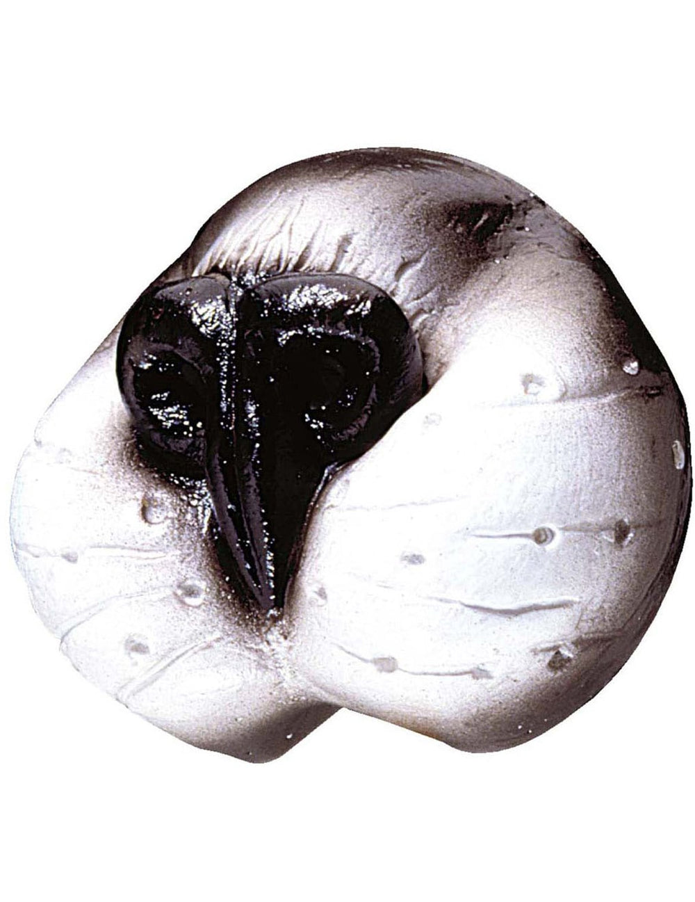 Nez de chat pour adulte blanc et gris avec truffe noire