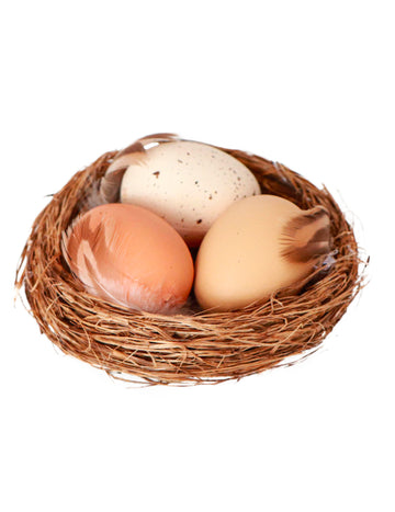 Természetes fészek 3 tojással 12x4 cm