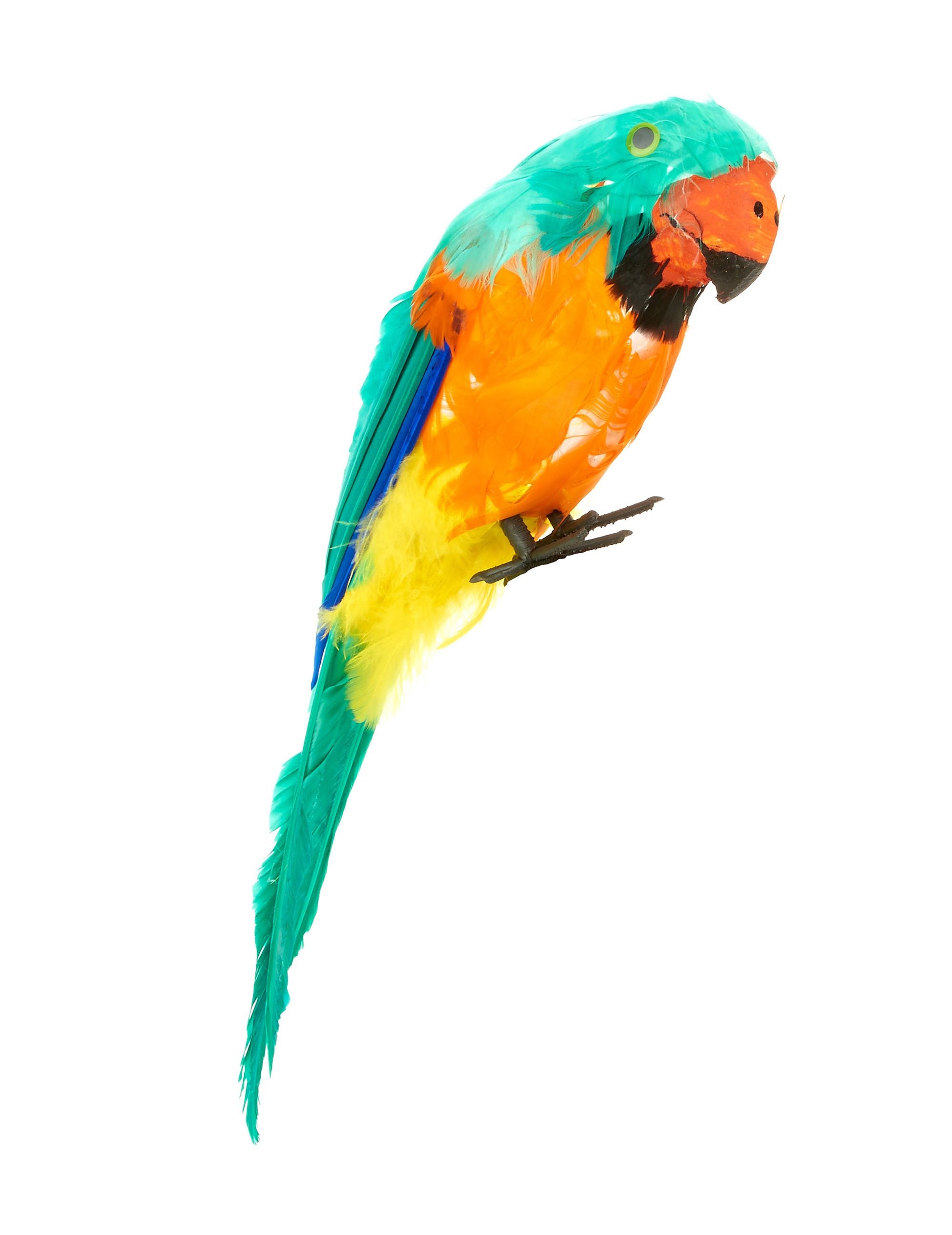 Zöld-narancs és sárga papagáj, tollakkal