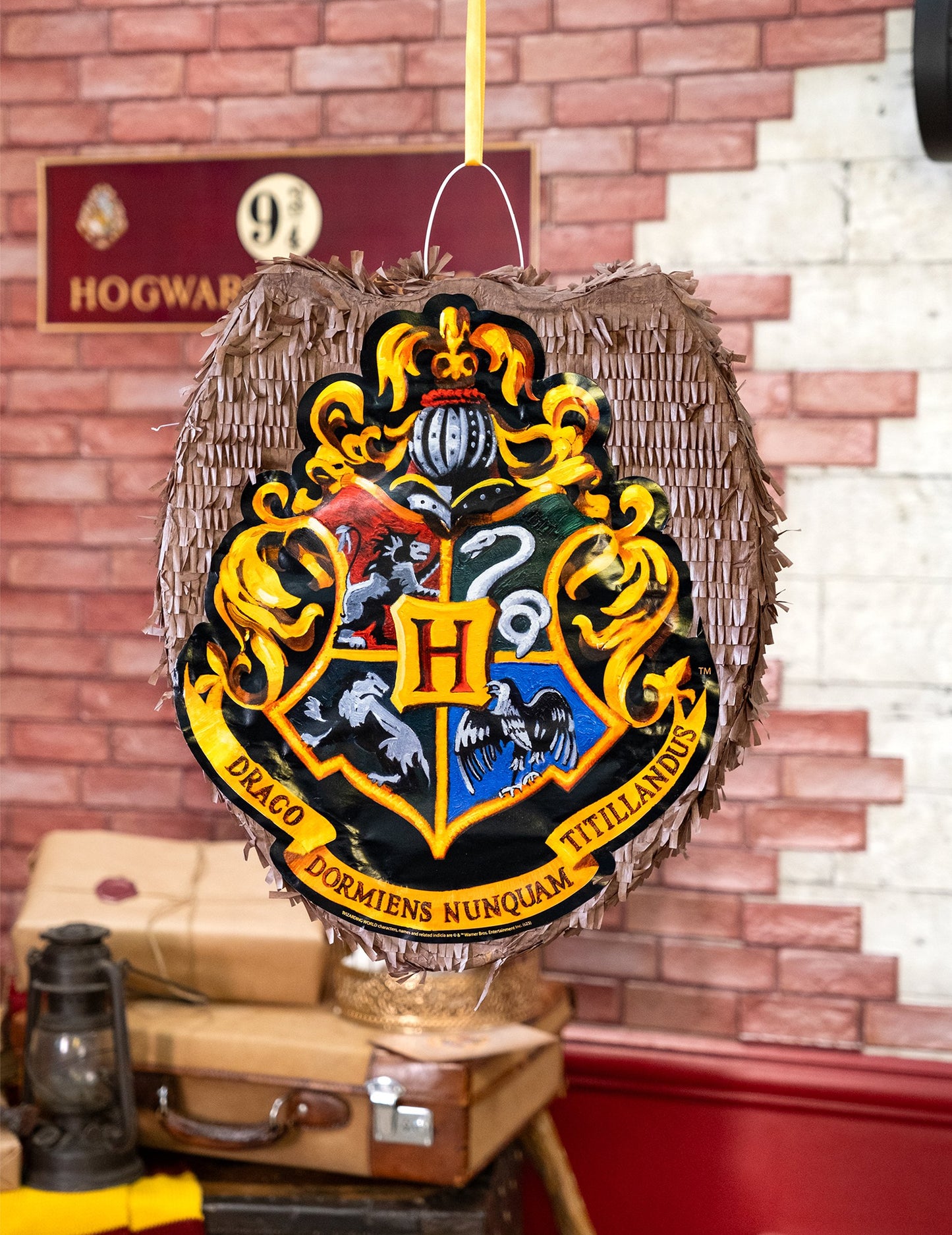 Harry Potter™ piñata 