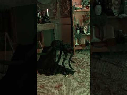 Araignée animée sauteuse 50 cm