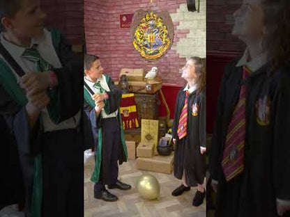 Harry Potter™ piñata 