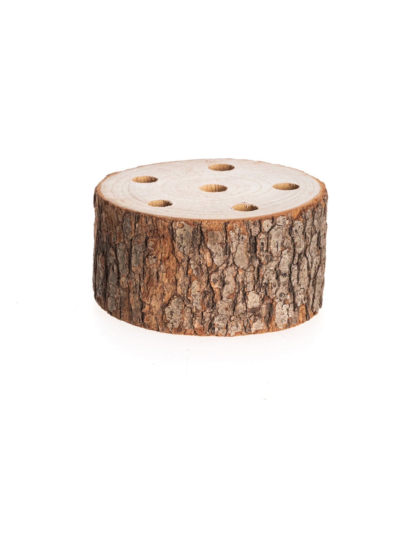 Rondin de bois support pour fleurs séchées pour décoration naturel à 6 trous