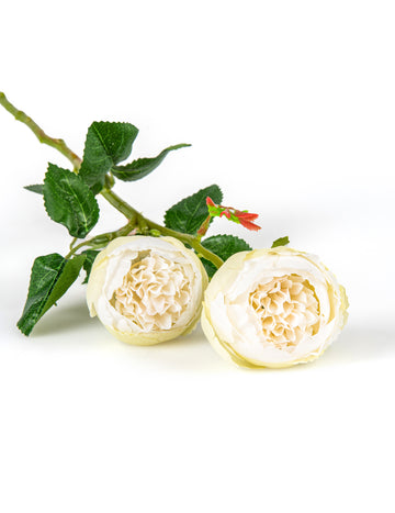 Műfehér rózsák száron 46 cm 2 darabos készletben