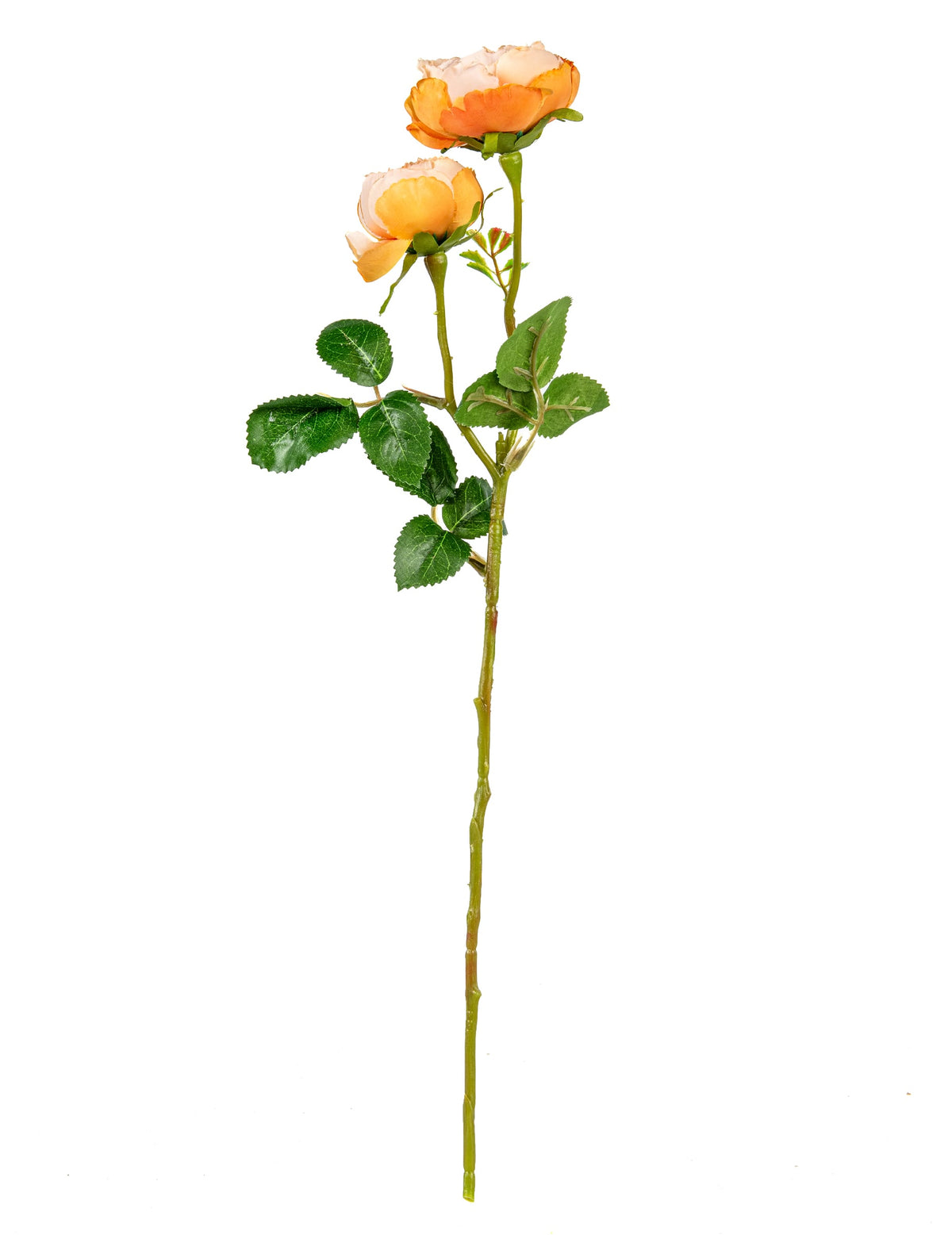 Vue de profil des roses artificielles de mariage pour bouquet pêche sur tige