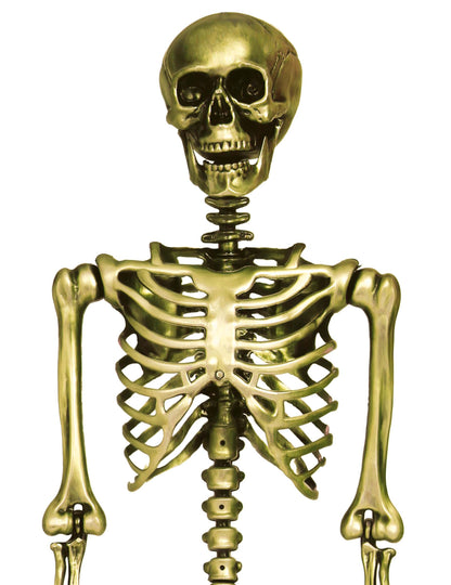 Gros plan sur le buste et le crâne du squelette à suspendre pour Halloween doré