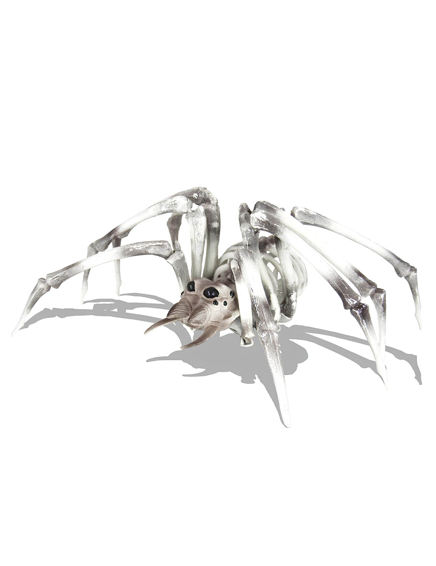 Squelette araignée pour décoration d'Halloween beige et noir