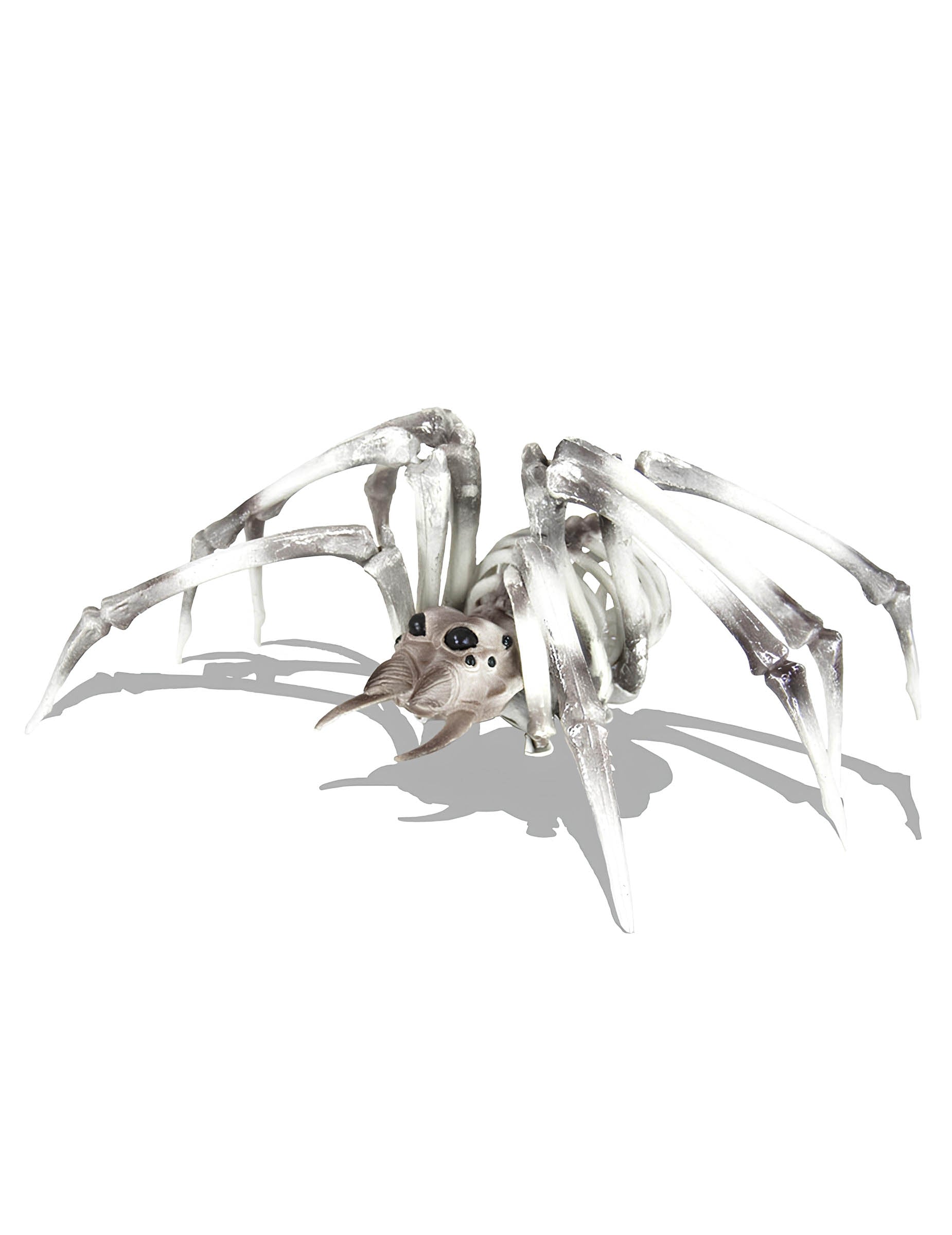 Squelette araignée pour décoration d'Halloween beige et noir