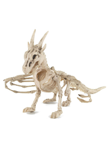 Sárkány csontváz 35cm