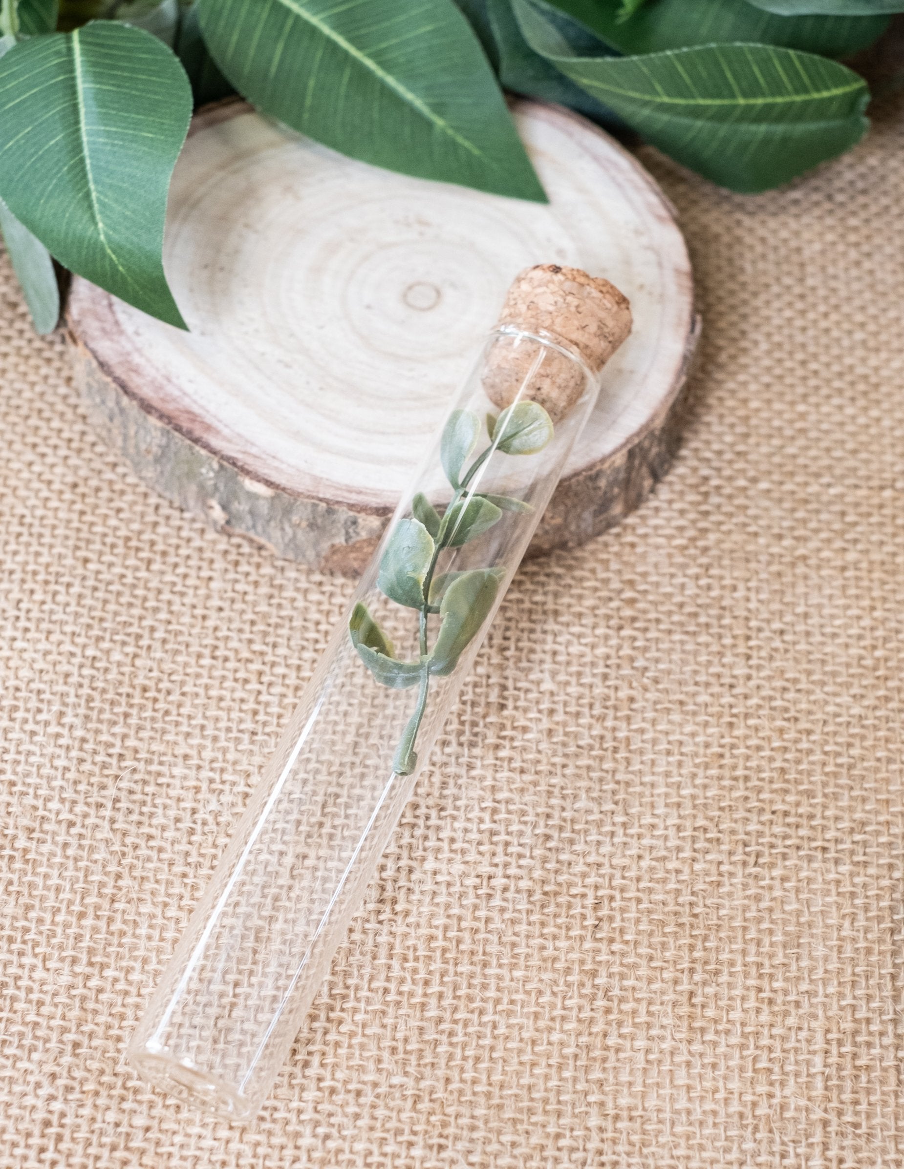 A növényzet részlete az üvegpróba csőben