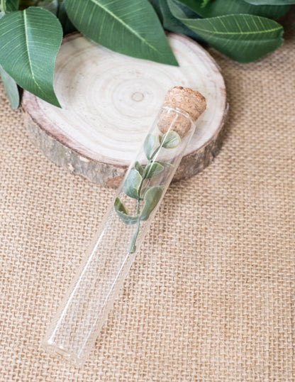 A növényzet részlete az üvegpróba csőben